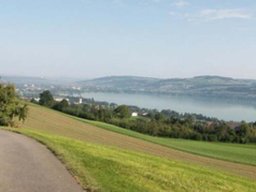 mauensee 20173